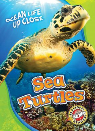 Buch Sea Turtles Kari Schuetz