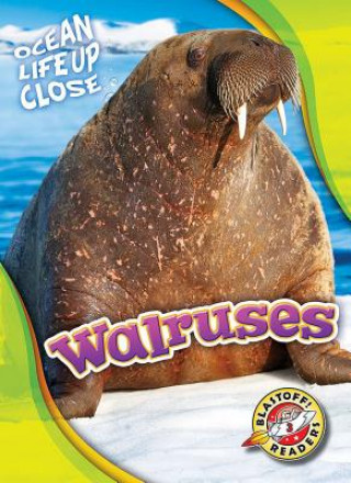 Książka Walruses Kari Schuetz