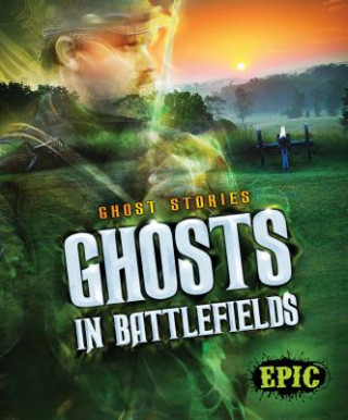 Knjiga Ghosts in Battlefields Lisa Owings