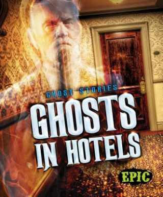 Livre Ghosts in Hotels Lisa Owings