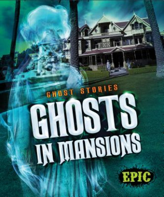 Carte Ghosts in Mansions Lisa Owings