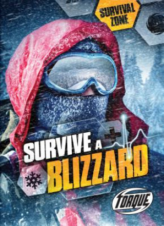 Kniha Survive a Blizzard Chris Bowman