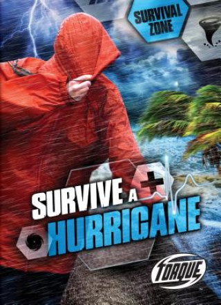 Kniha Survive a Hurricane Patrick Perish
