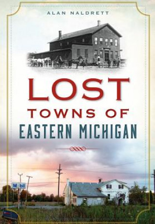 Könyv Lost Towns of Eastern Michigan Alan Naldrett