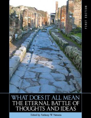 Libro What Does it All Mean Anthony W. Nattania