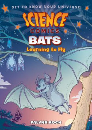 Buch Science Comics: Bats: Learning to Fly Falynn Koch