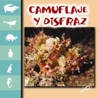 Libro Camuflaje y Disfraz (Camouflage and Disguise) Lynn Stone