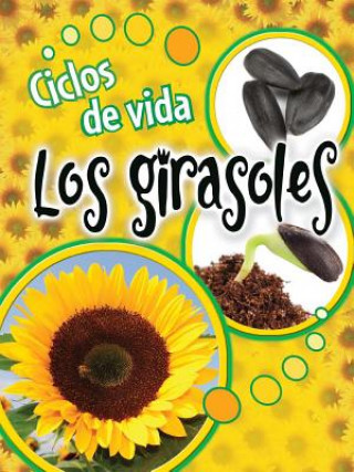 Kniha Ciclos de Vida Los Girasoles (Life Cycles: Sunflowers) Julie K. Lundgren