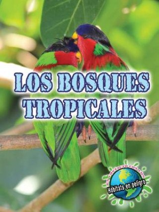 Book Los Bosques Tropicales (Rainforests) Precious McKenzie