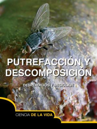 Kniha Putrefaccion y Descomposicion (Rot and Decay) Sarah Levete