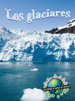 Carte Los Glaciares (Glaciers) Precious McKenzie