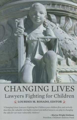 Knjiga Changing Lives: Lawyers Fighting for Children Lourdes Rosado