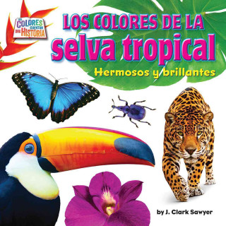 Libro Rain Forest Colors: Bright and Beautiful J. Clark Sawyer