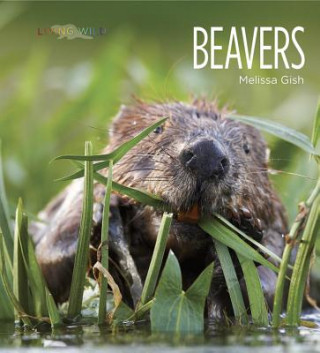 Carte Living Wild: Beavers Melissa Gish