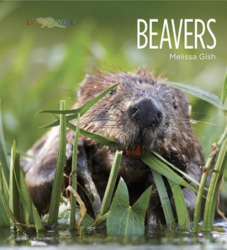 Knjiga Living Wild: Beavers Melissa Gish