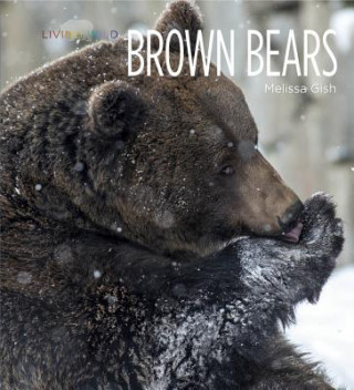 Kniha Living Wild: Brown Bears Melissa Gish