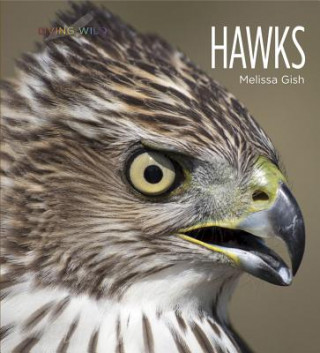 Könyv Living Wild: Hawks Melissa Gish