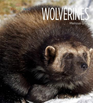 Könyv Living Wild: Wolverines Melissa Gish