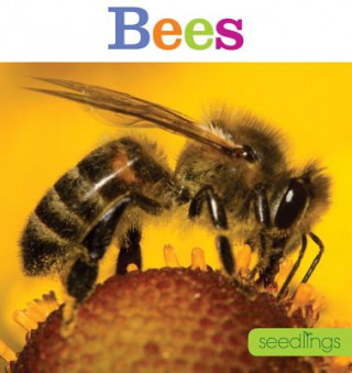 Carte Seedlings: Bees Aaron Frisch