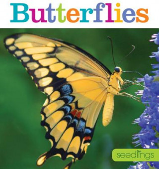 Carte Seedlings: Butterflies Aaron Frisch