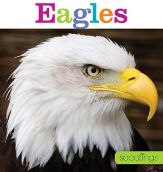 Książka Seedlings: Eagles Kate Riggs