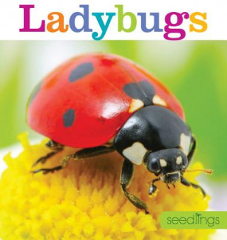 Knjiga Seedlings: Ladybugs Aaron Frisch