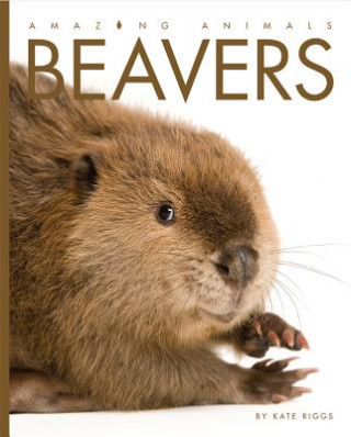 Книга Amazing Animals: Beavers Kate Riggs