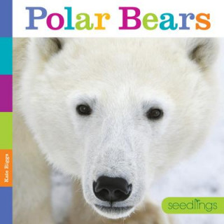 Carte Seedlings: Polar Bears Kate Riggs