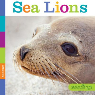 Book Seedlings: Sea Lions Kate Riggs