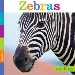 Kniha Seedlings: Zebras Kate Riggs