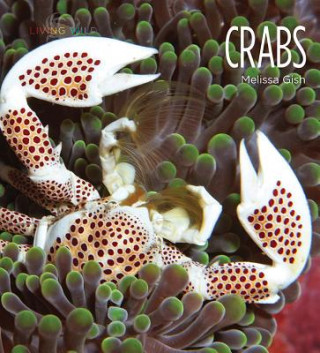 Book Crabs Melissa Gish