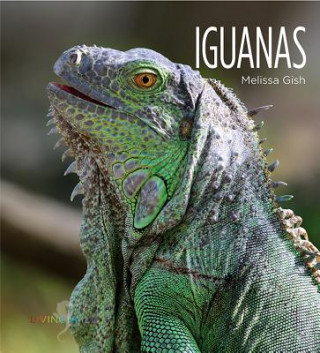 Könyv Iguanas Melissa Gish