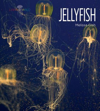 Könyv Jellyfish Melissa Gish