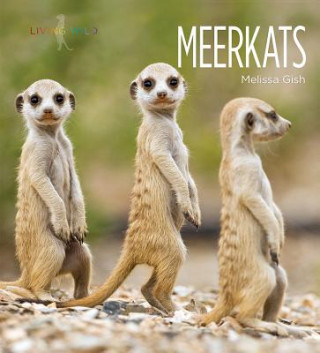 Buch Meerkats Melissa Gish