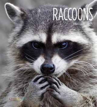 Kniha Raccoons Melissa Gish