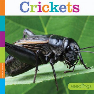 Βιβλίο Crickets Laura K. Murray