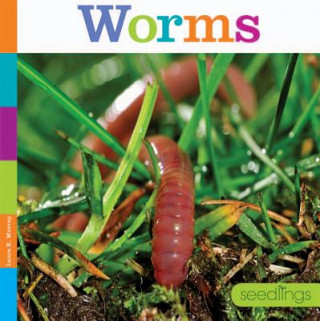 Knjiga Worms Laura K. Murray