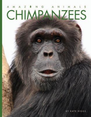 Livre Chimpanzees Kate Riggs