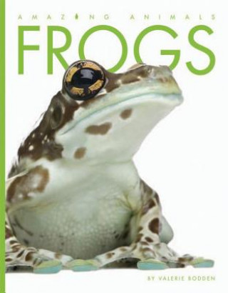 Carte Frogs Valerie Bodden