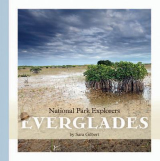 Kniha Everglades Sara Gilbert
