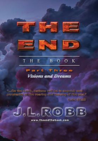 Kniha The End the Book J. L. Robb