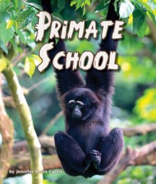 Książka Primate School Jennifer Keats Curtis