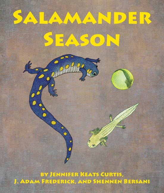 Książka Salamander Season Jennifer Keats Curtis