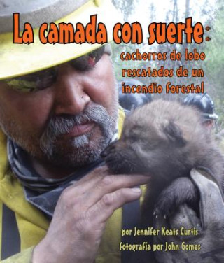 Kniha La Camada Con Suerte: Cachorros de Lobo Rescatados de Un Incendio Forestal Jennifer Keats Curtis