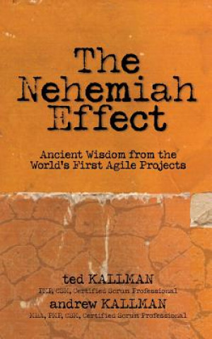 Carte Nehemiah Effect Pmp Csm Kallman