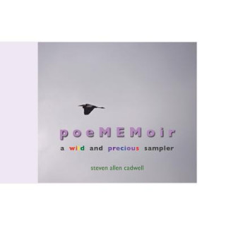 Buch Poememoir Steven Allen Cadwell