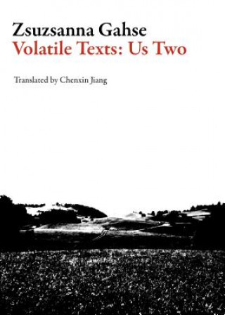 Könyv Volatile Texts: Us Two Zsuzsanna Gahse