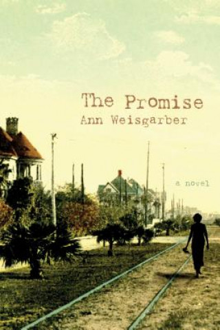 Carte The Promise Ann Weisgarber