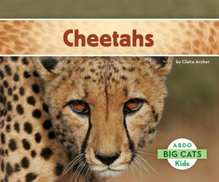 Knjiga Cheetahs Claire Archer
