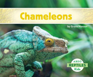 Carte Chameleons Grace Hansen